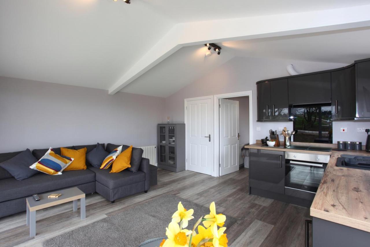 Deerfin Rentals Private Chalet With Hot Tub Ballymena Luaran gambar